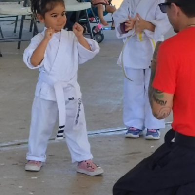 Belt Graduations - going to all ranks except Red III